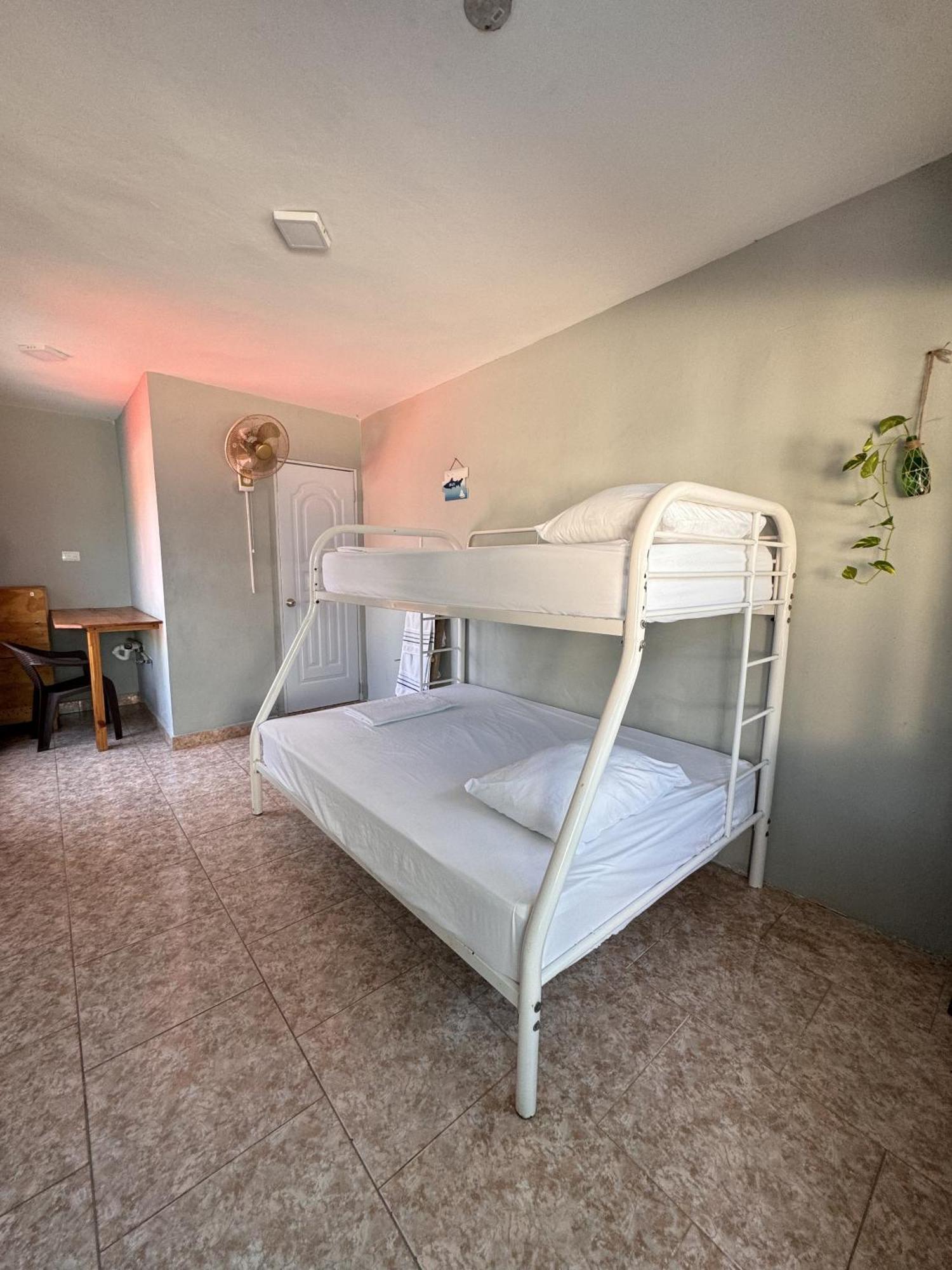 Wing Camp Hostel Cabarete Buitenkant foto