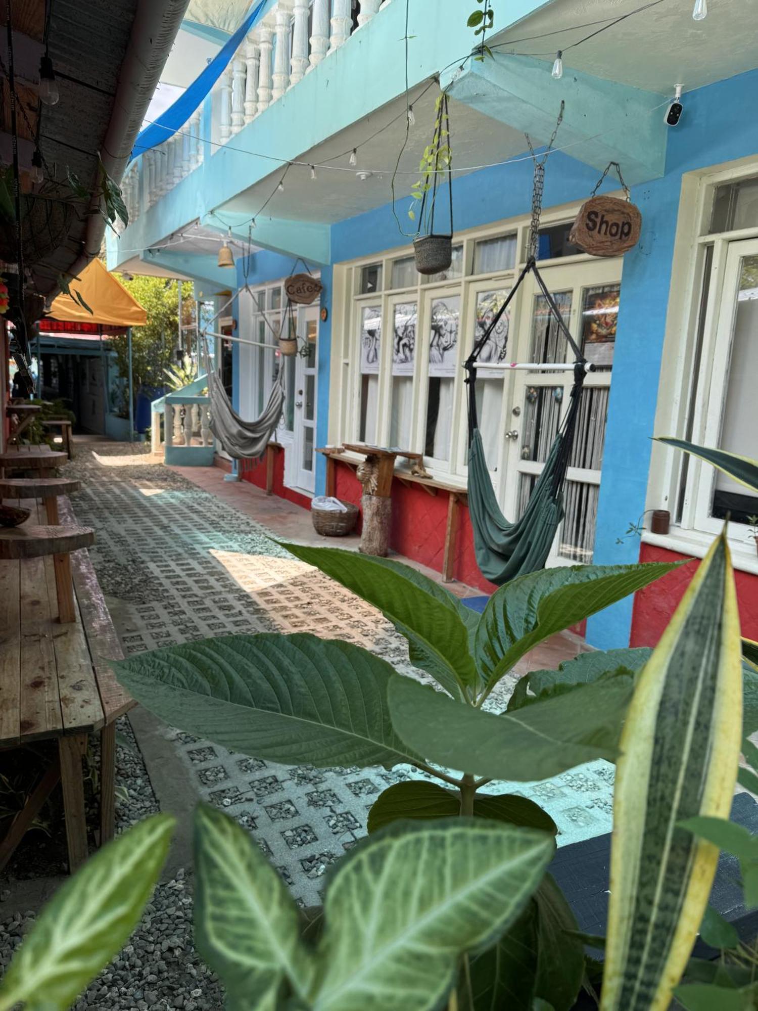Wing Camp Hostel Cabarete Buitenkant foto